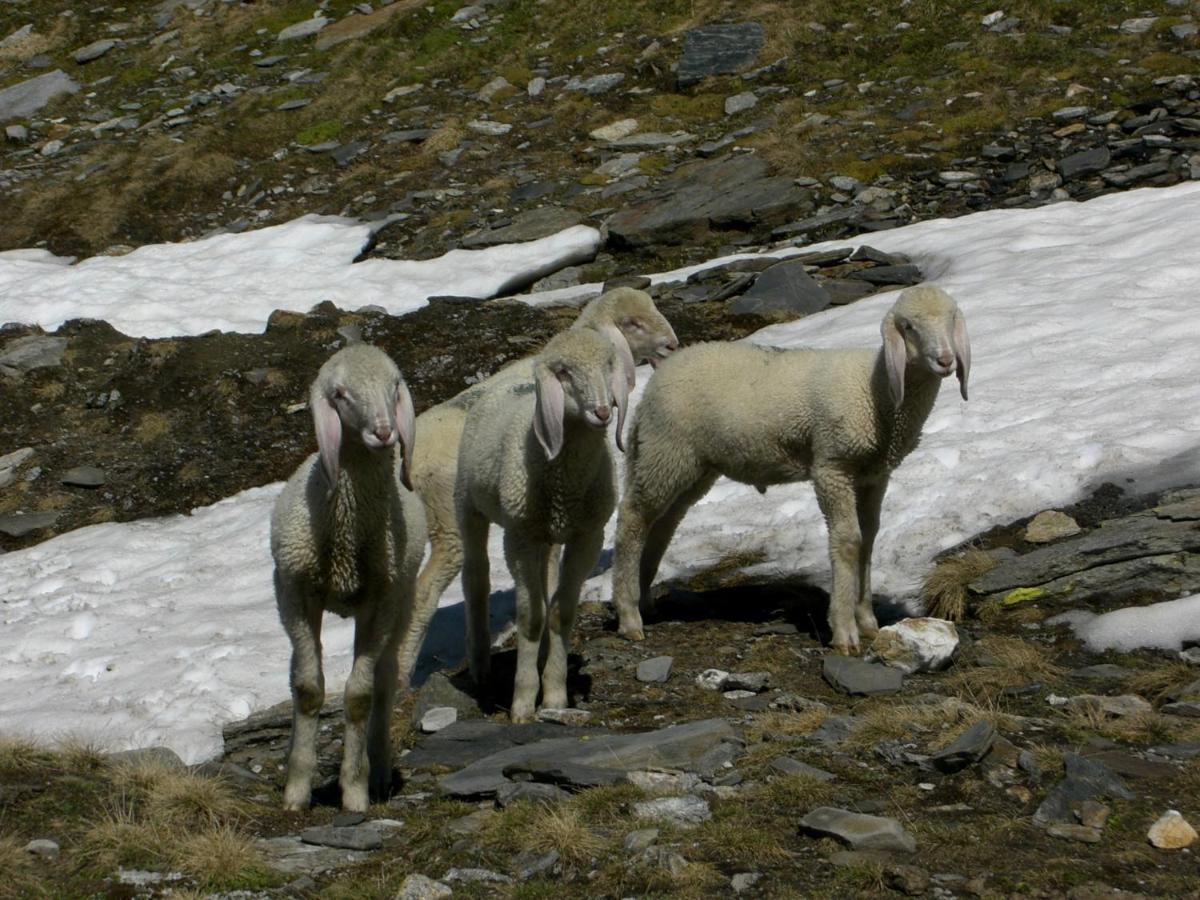Apart Lisa Mayrhofen Eksteriør bilde